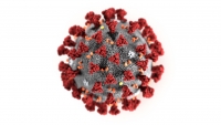 О проведении «горячей линии» по вопросам профилактики коронавирусной инфекции