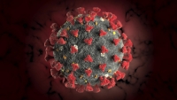Как защитить работников от заражения коронавирусом